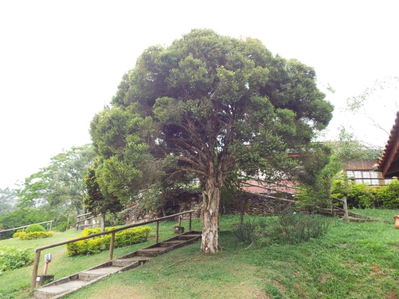 Estrela Da Serra Hotel Fazenda Santo Antônio do Pinhal Exterior photo